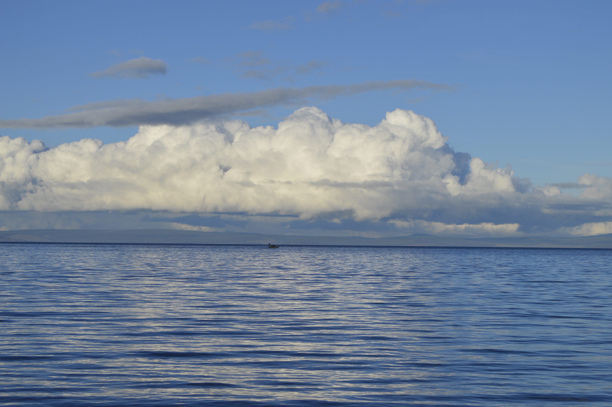 _DSC0805