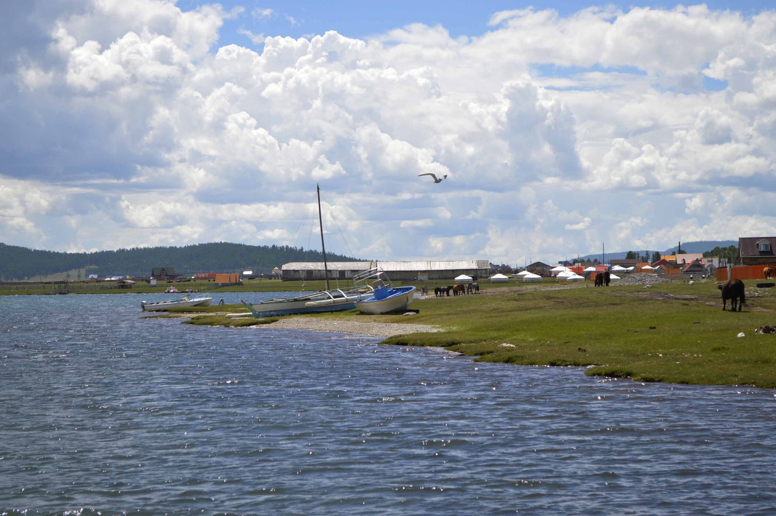 _DSC0070