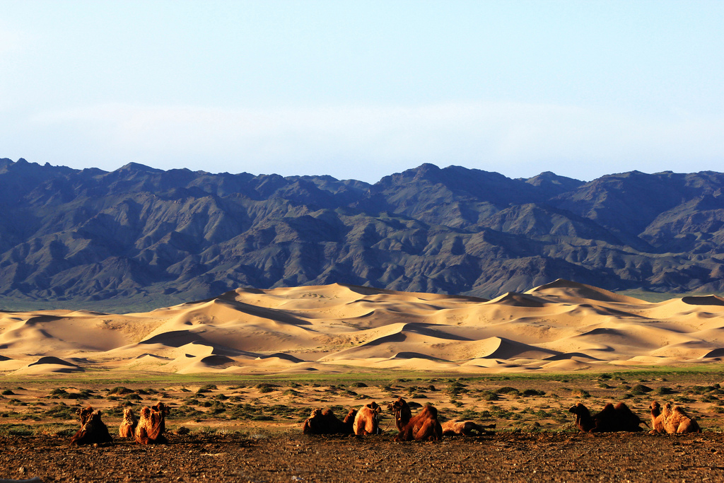hongor sand dunes